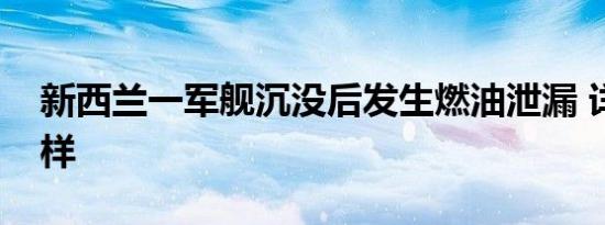 新西兰一军舰沉没后发生燃油泄漏 详情是怎样