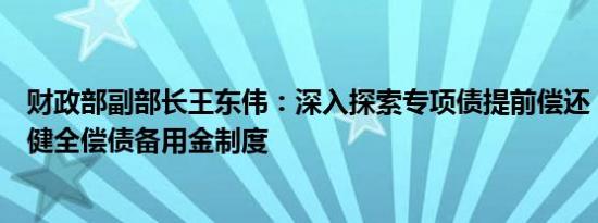 财政部副部长王东伟：深入探索专项债提前偿还，研究建立健全偿债备用金制度