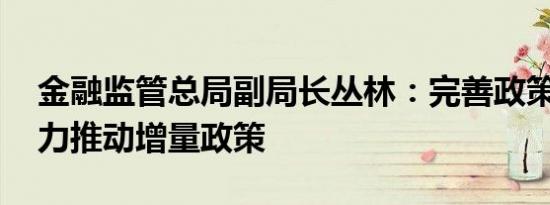 金融监管总局副局长丛林：完善政策体系 加力推动增量政策