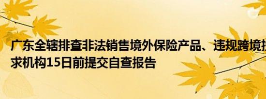 广东全辖排查非法销售境外保险产品、违规跨境投保行为 要求机构15日前提交自查报告