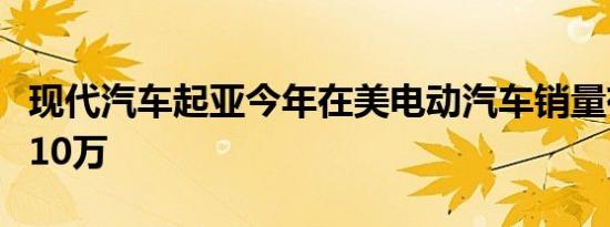 现代汽车起亚今年在美电动汽车销量有望首破10万