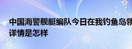 中国海警舰艇编队今日在我钓鱼岛领海巡航 详情是怎样