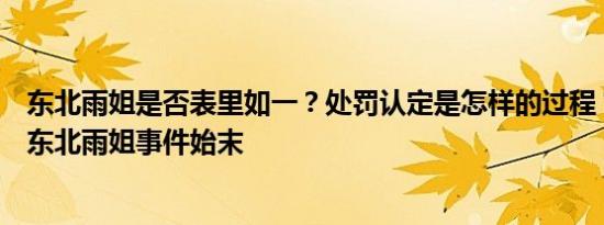 东北雨姐是否表里如一？处罚认定是怎样的过程？央视调查东北雨姐事件始末