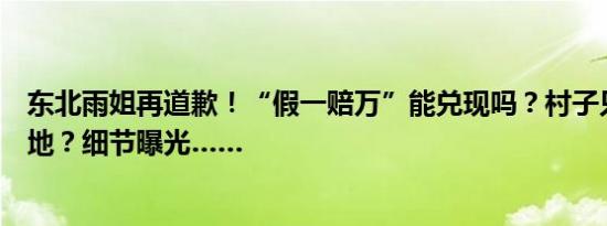 东北雨姐再道歉！“假一赔万”能兑现吗？村子只是影视基地？细节曝光……