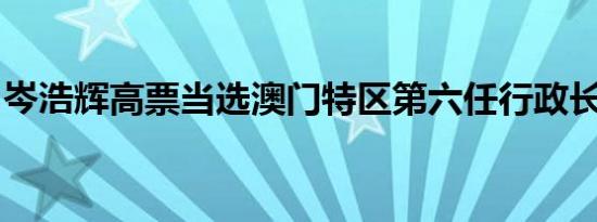 岑浩辉高票当选澳门特区第六任行政长官人选