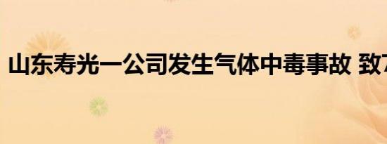 山东寿光一公司发生气体中毒事故 致7死4伤