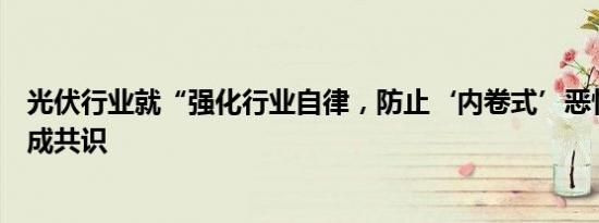 光伏行业就“强化行业自律，防止‘内卷式’恶性竞争”达成共识