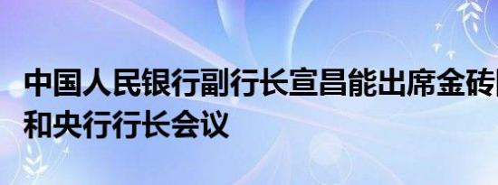 中国人民银行副行长宣昌能出席金砖国家财长和央行行长会议