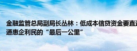 金融监管总局副局长丛林：低成本信贷资金要直达基层，打通惠企利民的“最后一公里”