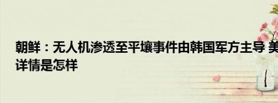 朝鲜：无人机渗透至平壤事件由韩国军方主导 美国应负责 详情是怎样