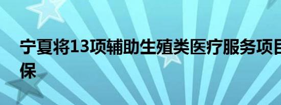 宁夏将13项辅助生殖类医疗服务项目纳入医保