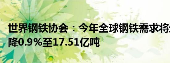 世界钢铁协会：今年全球钢铁需求将进一步下降0.9%至17.51亿吨