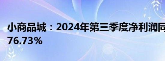 小商品城：2024年第三季度净利润同比增长176.73%