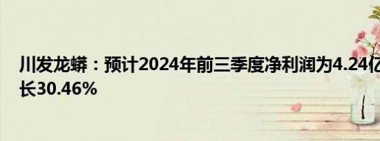 川发龙蟒：预计2024年前三季度净利润为4.24亿元 同比增长30.46%