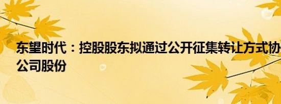 东望时代：控股股东拟通过公开征集转让方式协议转让6%公司股份