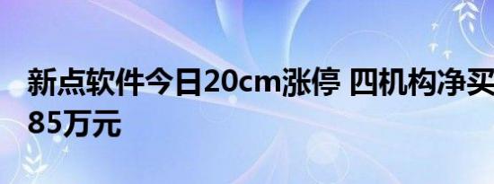 新点软件今日20cm涨停 四机构净买入8238.85万元