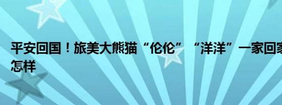 平安回国！旅美大熊猫“伦伦”“洋洋”一家回家啦 详情是怎样