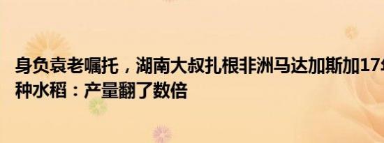 身负袁老嘱托，湖南大叔扎根非洲马达加斯加17年教当地人种水稻：产量翻了数倍