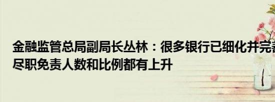 金融监管总局副局长丛林：很多银行已细化并完善内部规定尽职免责人数和比例都有上升