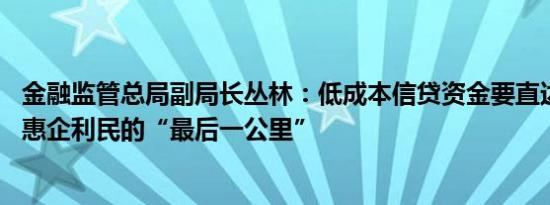 金融监管总局副局长丛林：低成本信贷资金要直达基层 打通惠企利民的“最后一公里”