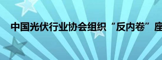 中国光伏行业协会组织“反内卷”座谈会