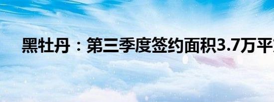 黑牡丹：第三季度签约面积3.7万平方米