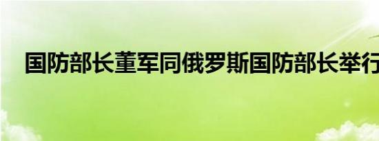 国防部长董军同俄罗斯国防部长举行会谈