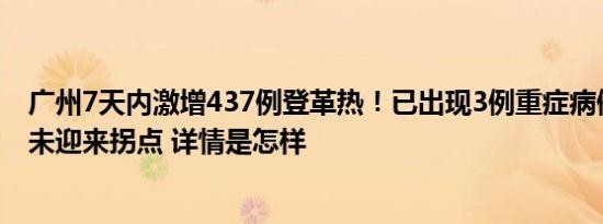 广州7天内激增437例登革热！已出现3例重症病例，目前尚未迎来拐点 详情是怎样