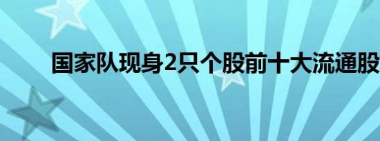 国家队现身2只个股前十大流通股东