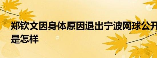 郑钦文因身体原因退出宁波网球公开赛 详情是怎样