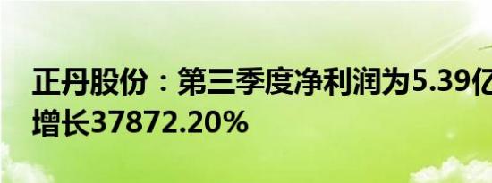 正丹股份：第三季度净利润为5.39亿元 同比增长37872.20%