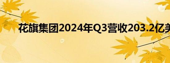 花旗集团2024年Q3营收203.2亿美元