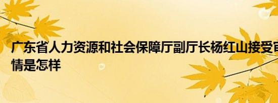 广东省人力资源和社会保障厅副厅长杨红山接受审查调查 详情是怎样