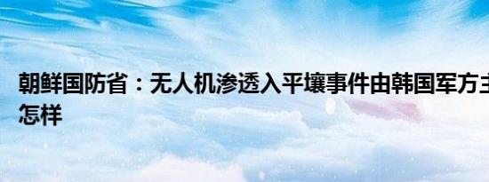 朝鲜国防省：无人机渗透入平壤事件由韩国军方主导 详情是怎样