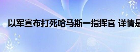 以军宣布打死哈马斯一指挥官 详情是怎样