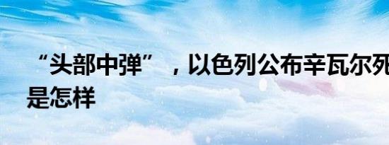 “头部中弹”，以色列公布辛瓦尔死因 详情是怎样