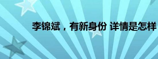 李锦斌，有新身份 详情是怎样