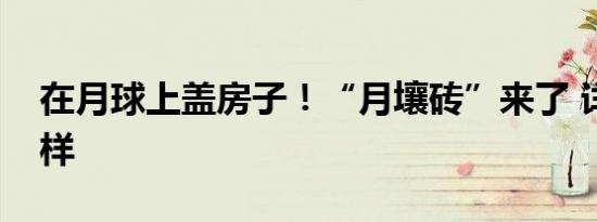 在月球上盖房子！“月壤砖”来了 详情是怎样