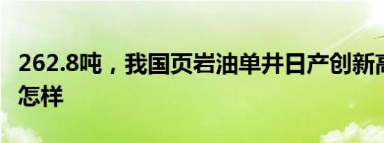 262.8吨，我国页岩油单井日产创新高 详情是怎样