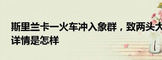 斯里兰卡一火车冲入象群，致两头大象死亡 详情是怎样