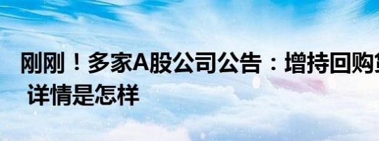 刚刚！多家A股公司公告：增持回购贷款落地 详情是怎样