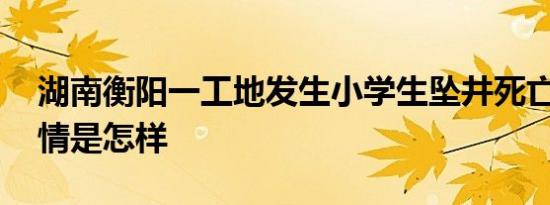 湖南衡阳一工地发生小学生坠井死亡事件 详情是怎样