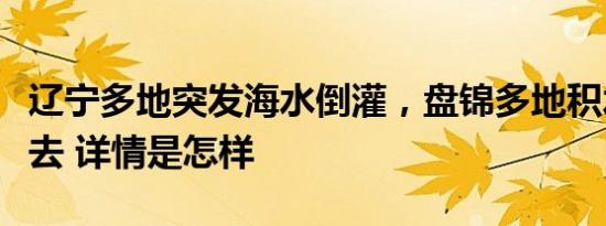 辽宁多地突发海水倒灌，盘锦多地积水基本退去 详情是怎样