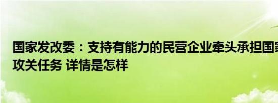 国家发改委：支持有能力的民营企业牵头承担国家重大技术攻关任务 详情是怎样