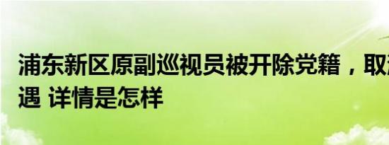 浦东新区原副巡视员被开除党籍，取消退休待遇 详情是怎样