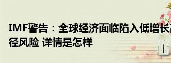 IMF警告：全球经济面临陷入低增长高债务路径风险 详情是怎样