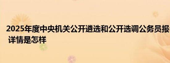 2025年度中央机关公开遴选和公开选调公务员报名即将开始 详情是怎样