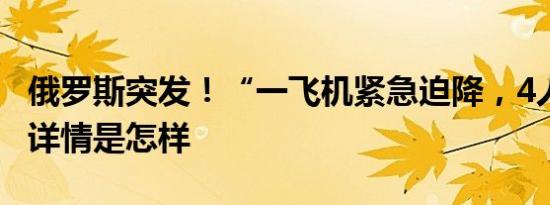 俄罗斯突发！“一飞机紧急迫降，4人受伤” 详情是怎样