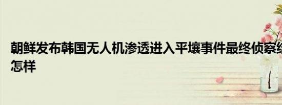 朝鲜发布韩国无人机渗透进入平壤事件最终侦察结果 详情是怎样