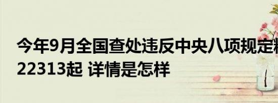 今年9月全国查处违反中央八项规定精神问题22313起 详情是怎样